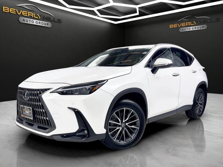 2025 Lexus NX